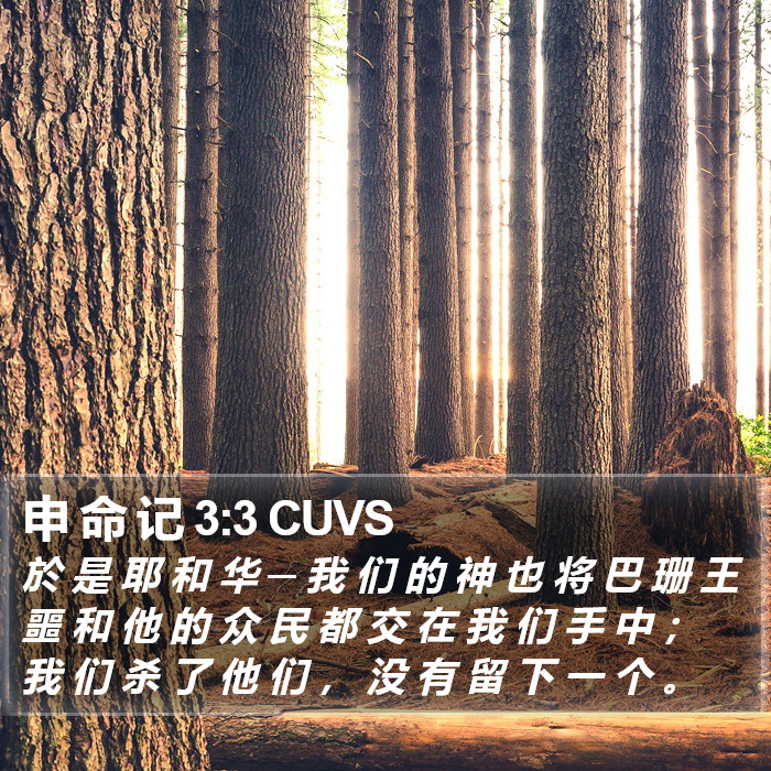 申 命 记 3:3 CUVS Bible Study