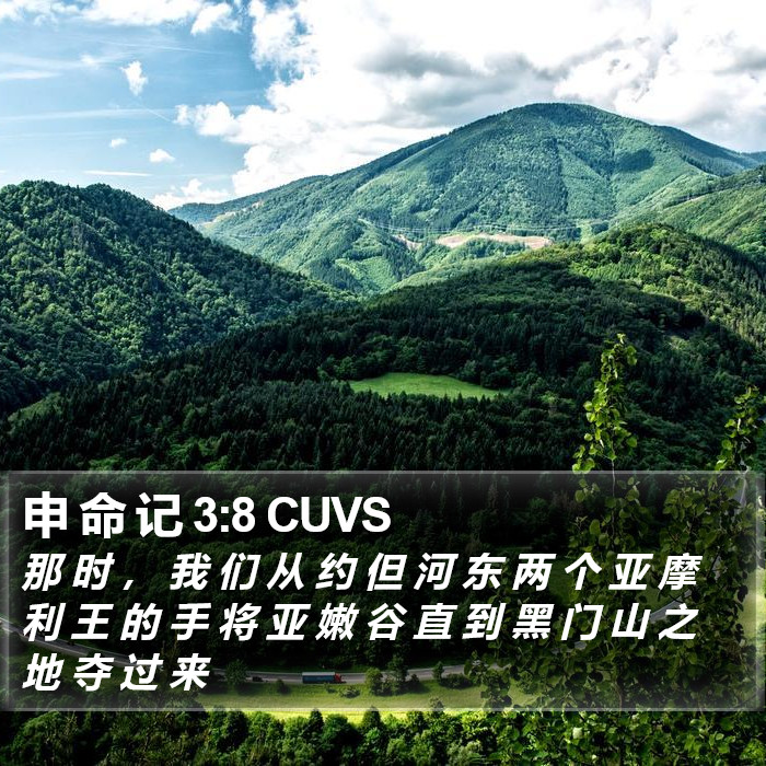 申 命 记 3:8 CUVS Bible Study