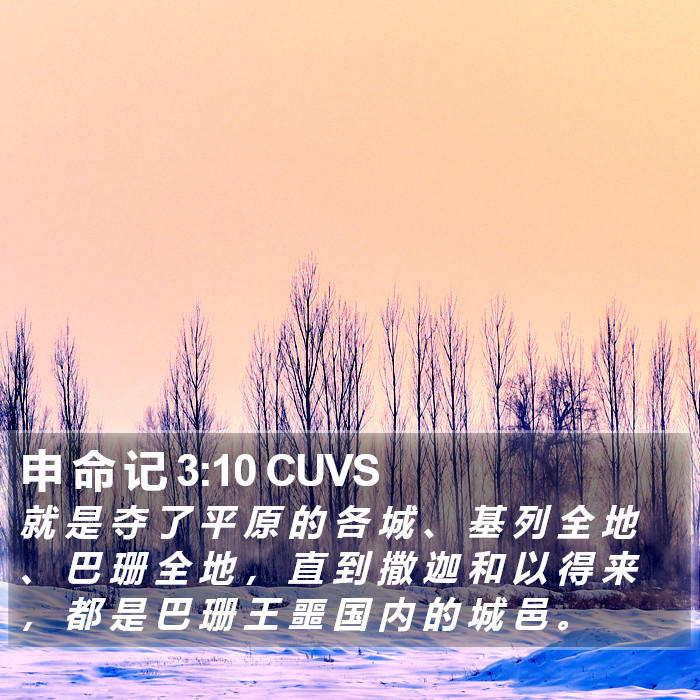 申 命 记 3:10 CUVS Bible Study