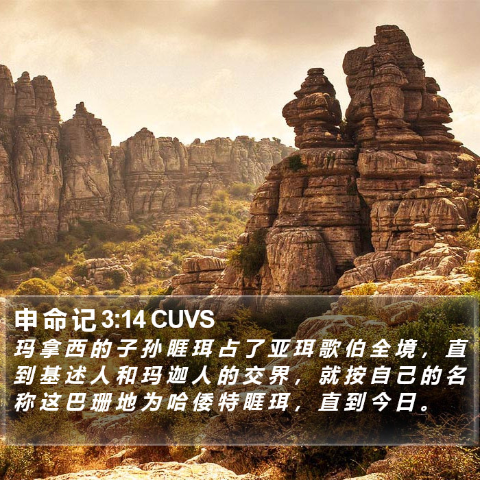 申 命 记 3:14 CUVS Bible Study
