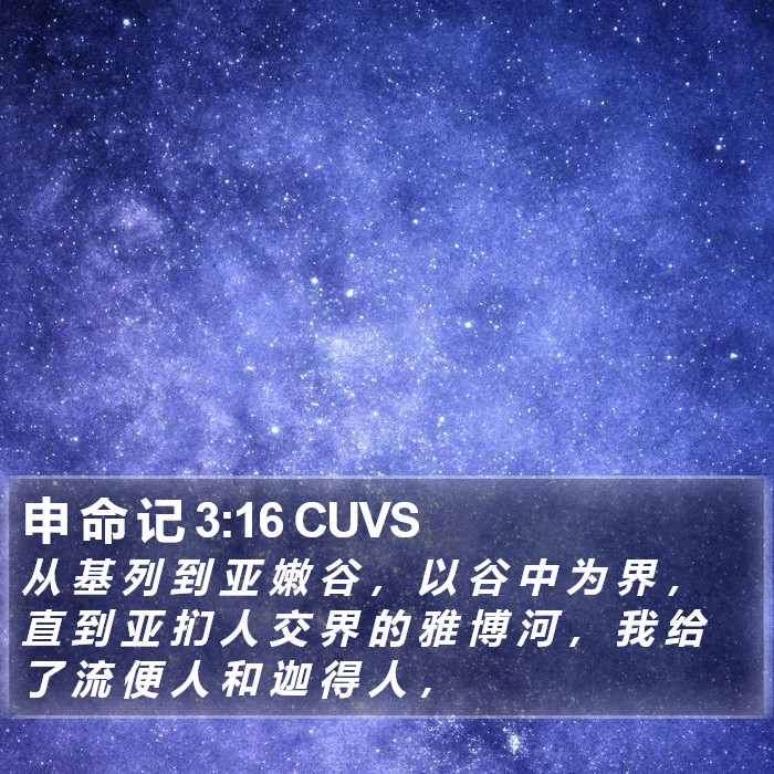 申 命 记 3:16 CUVS Bible Study