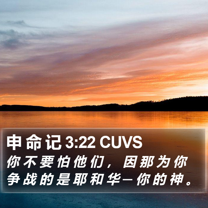 申 命 记 3:22 CUVS Bible Study