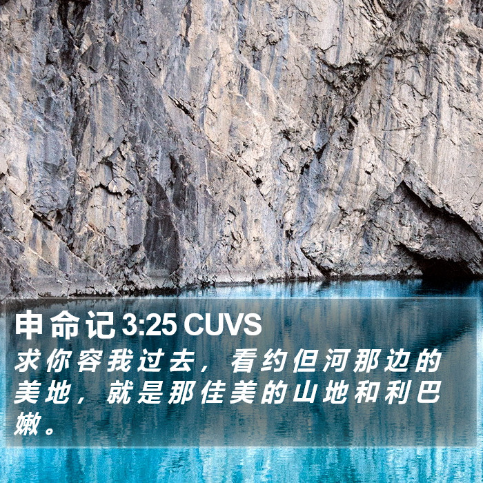 申 命 记 3:25 CUVS Bible Study