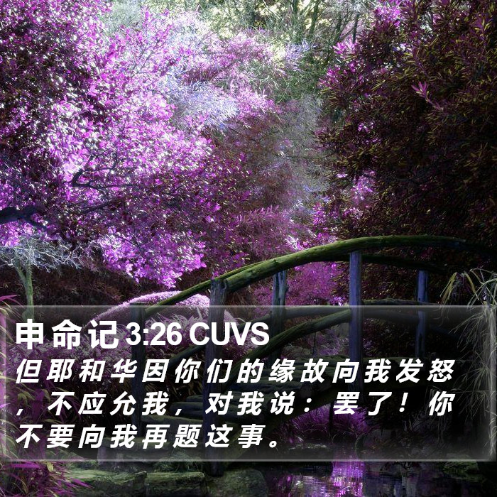申 命 记 3:26 CUVS Bible Study