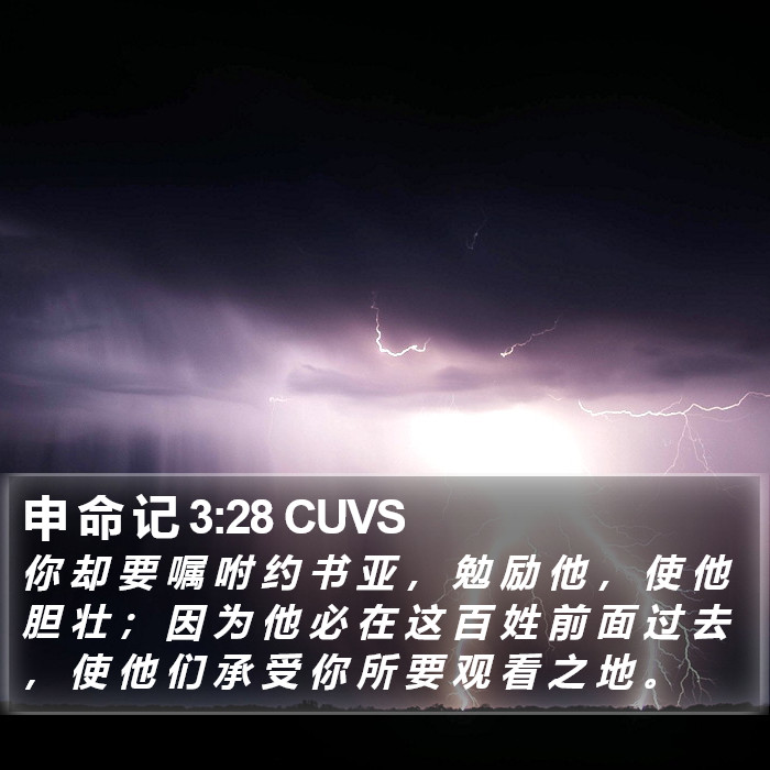 申 命 记 3:28 CUVS Bible Study