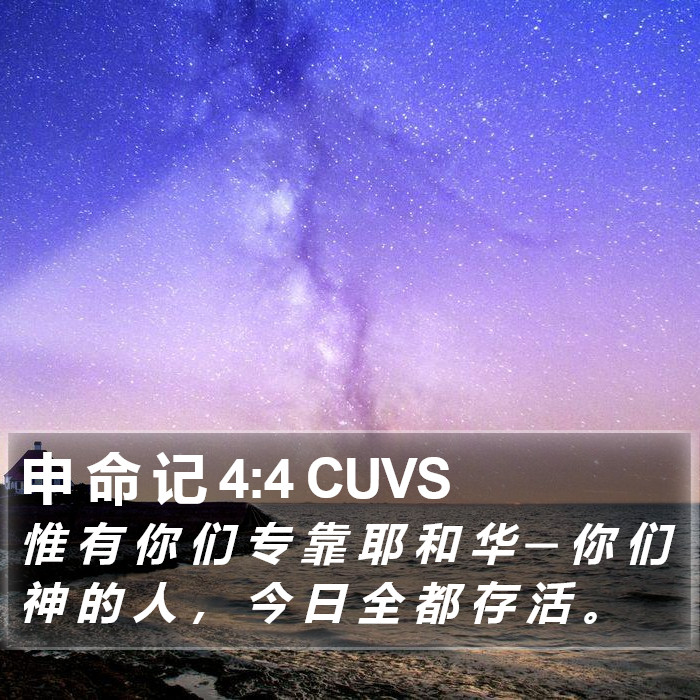 申 命 记 4:4 CUVS Bible Study
