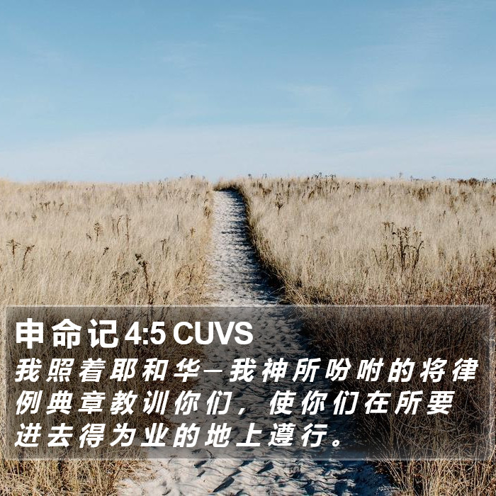 申 命 记 4:5 CUVS Bible Study