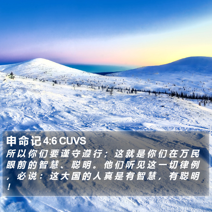 申 命 记 4:6 CUVS Bible Study