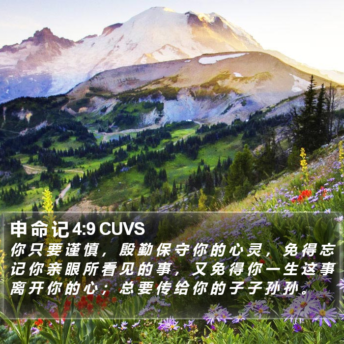 申 命 记 4:9 CUVS Bible Study