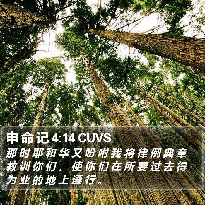 申 命 记 4:14 CUVS Bible Study