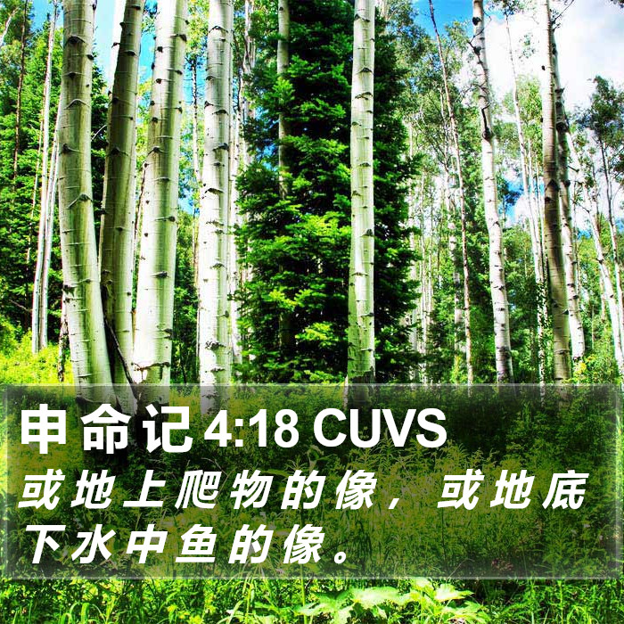 申 命 记 4:18 CUVS Bible Study