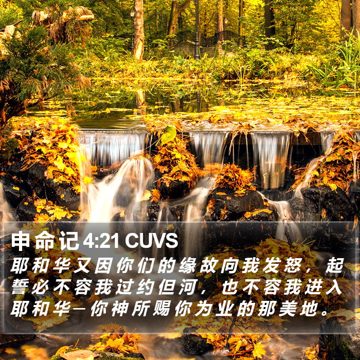 申 命 记 4:21 CUVS Bible Study
