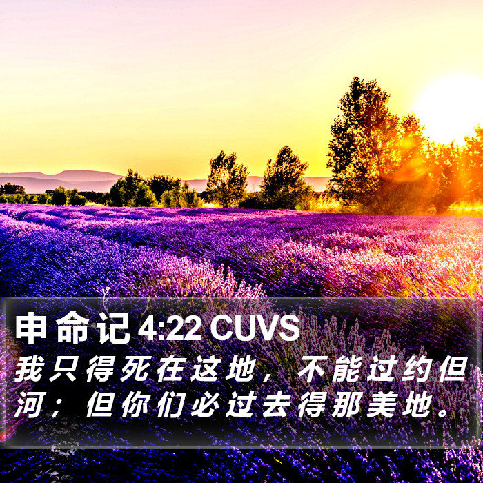 申 命 记 4:22 CUVS Bible Study