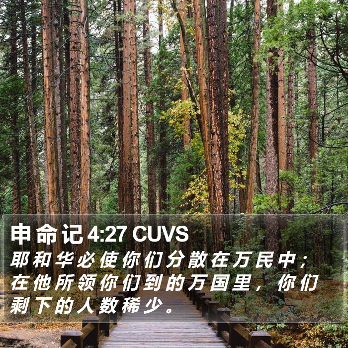 申 命 记 4:27 CUVS Bible Study