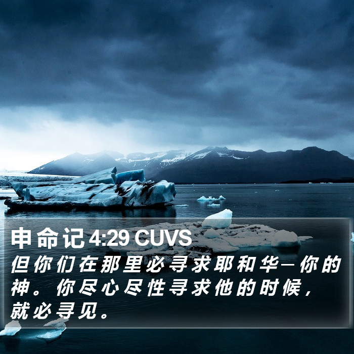 申 命 记 4:29 CUVS Bible Study