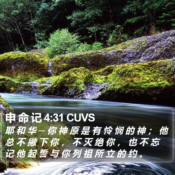 申 命 记 4:31 CUVS Bible Study