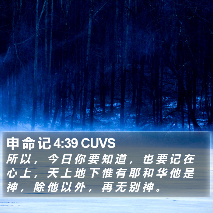 申 命 记 4:39 CUVS Bible Study