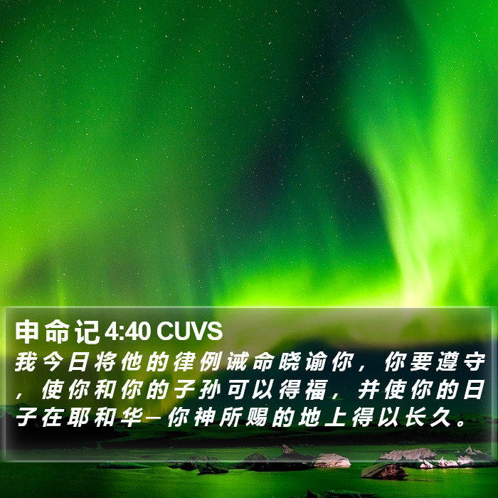 申 命 记 4:40 CUVS Bible Study