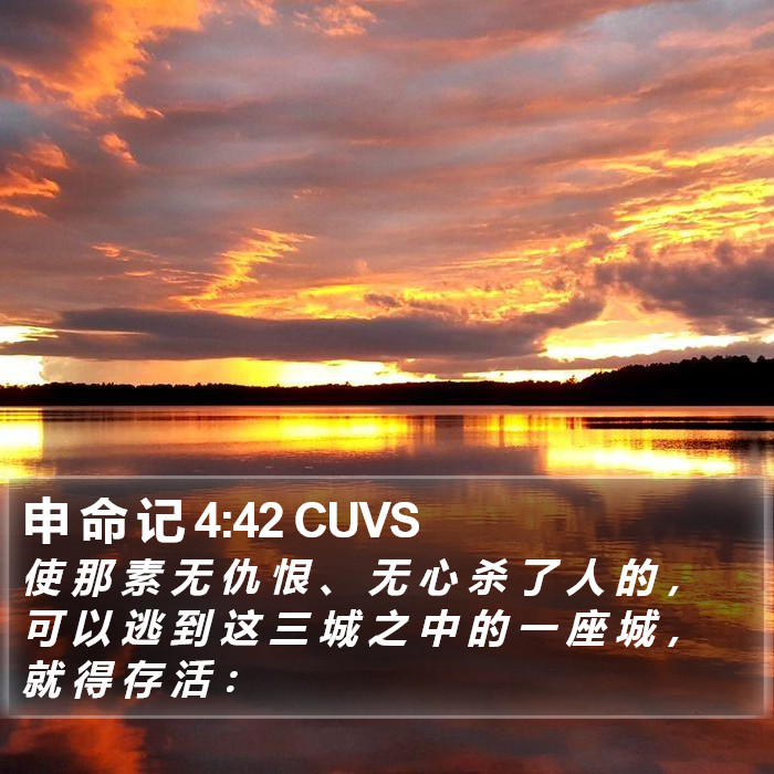 申 命 记 4:42 CUVS Bible Study