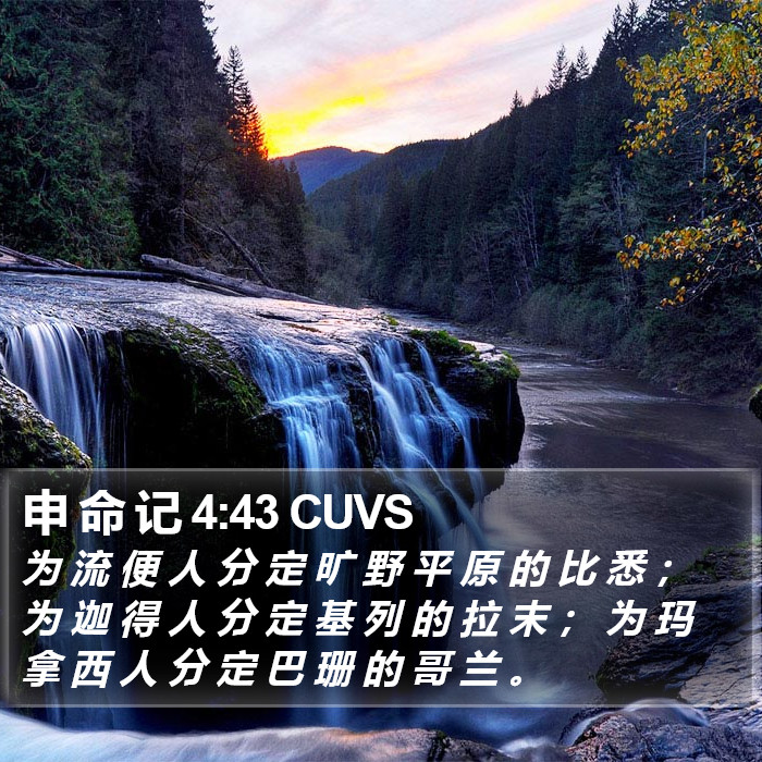 申 命 记 4:43 CUVS Bible Study