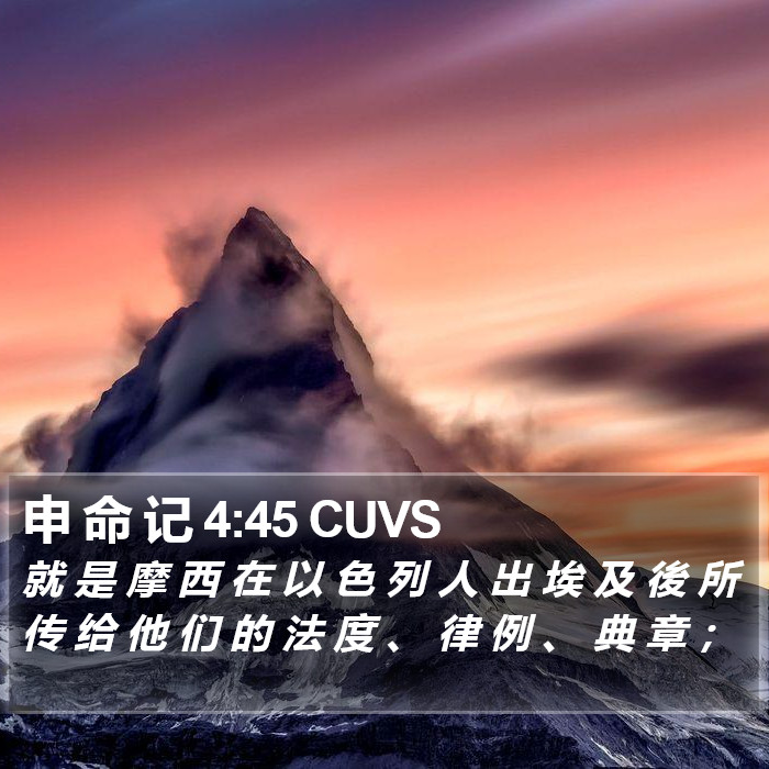 申 命 记 4:45 CUVS Bible Study