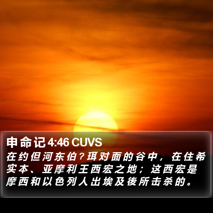 申 命 记 4:46 CUVS Bible Study