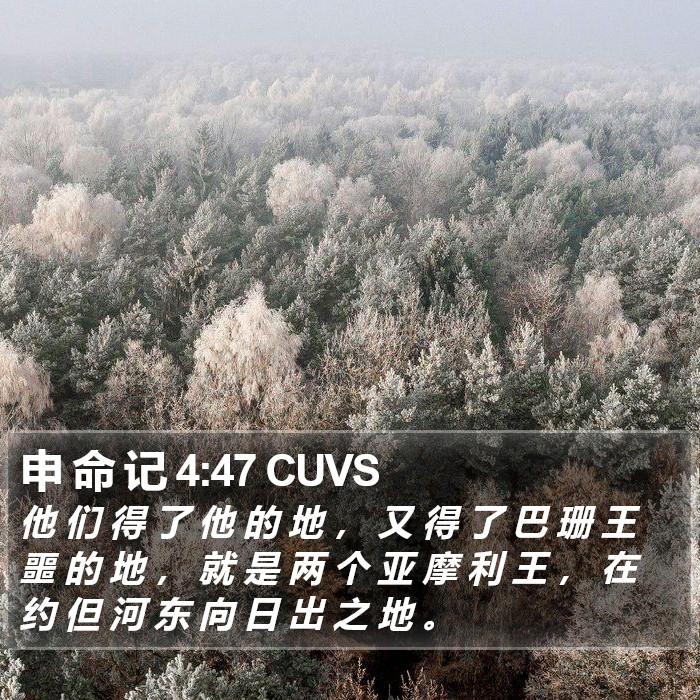 申 命 记 4:47 CUVS Bible Study