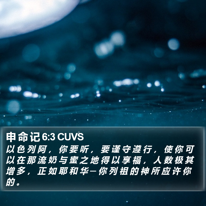 申 命 记 6:3 CUVS Bible Study