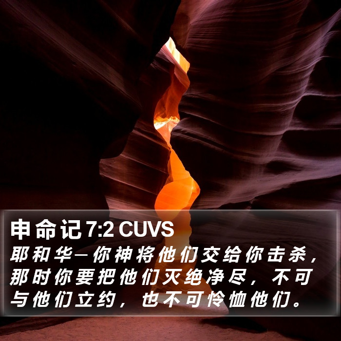 申 命 记 7:2 CUVS Bible Study