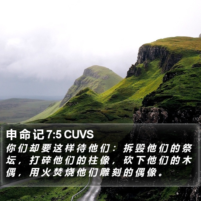 申 命 记 7:5 CUVS Bible Study