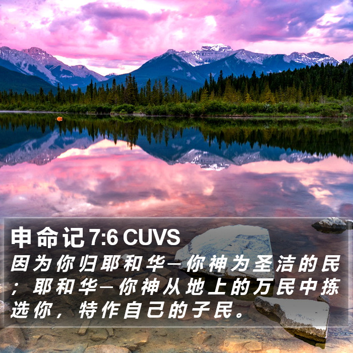 申 命 记 7:6 CUVS Bible Study