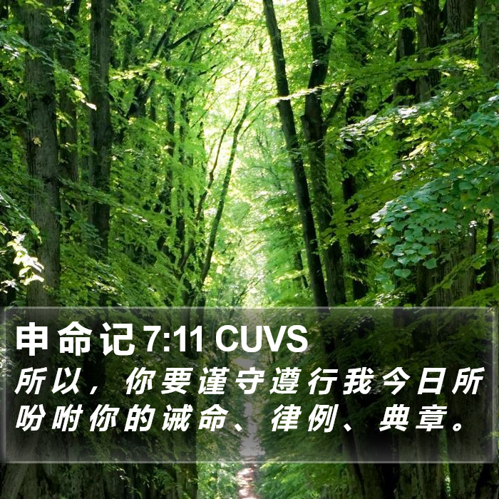 申 命 记 7:11 CUVS Bible Study