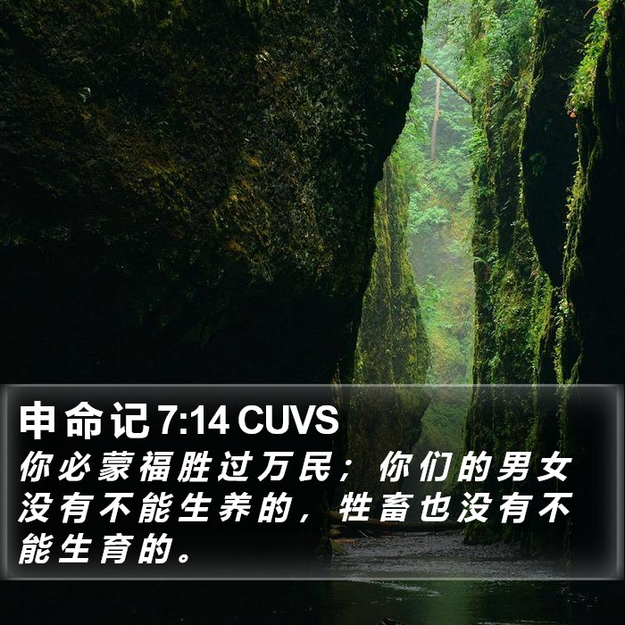 申 命 记 7:14 CUVS Bible Study