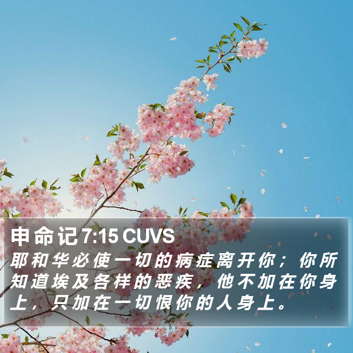 申 命 记 7:15 CUVS Bible Study