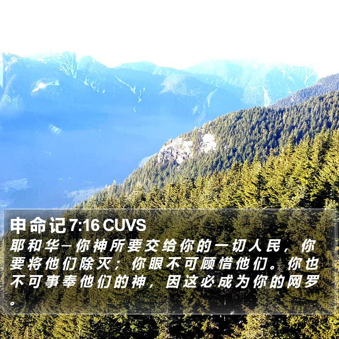 申 命 记 7:16 CUVS Bible Study