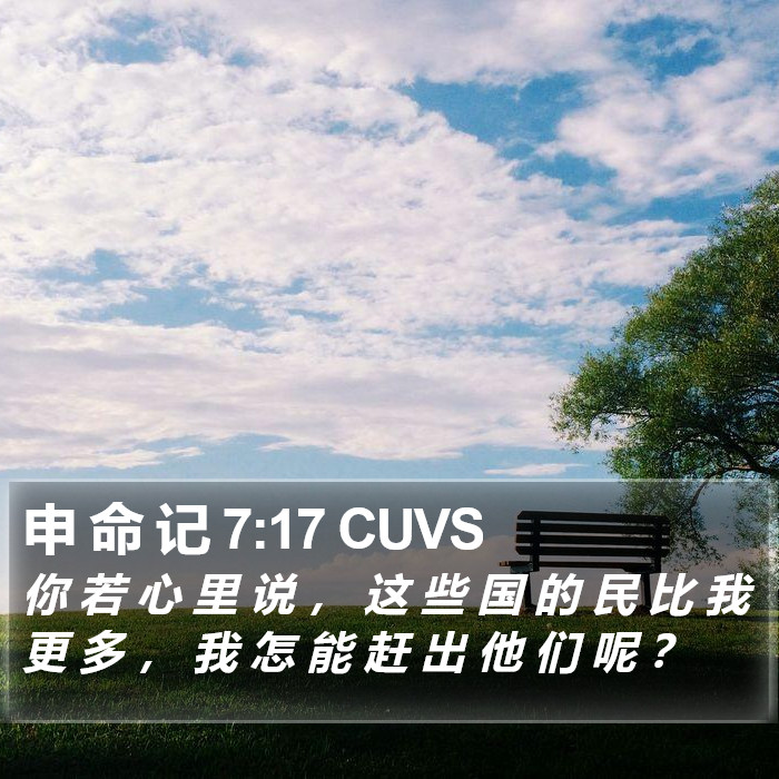 申 命 记 7:17 CUVS Bible Study
