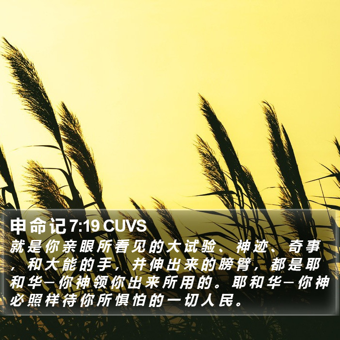 申 命 记 7:19 CUVS Bible Study