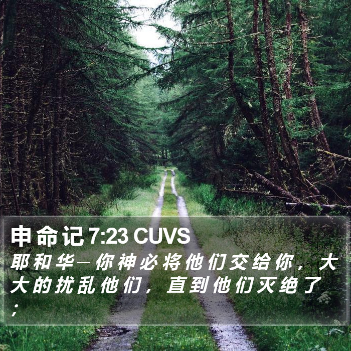 申 命 记 7:23 CUVS Bible Study