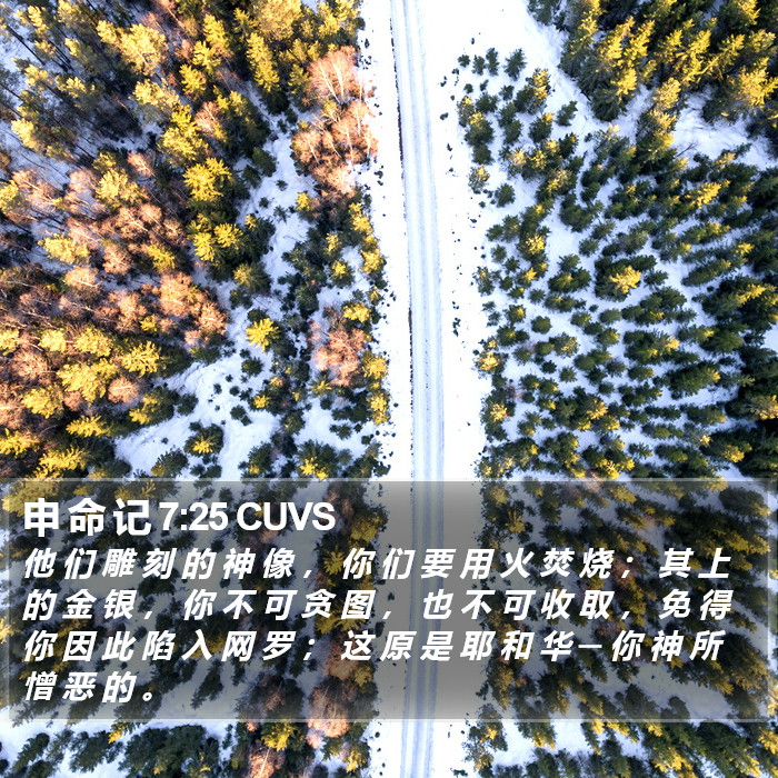 申 命 记 7:25 CUVS Bible Study
