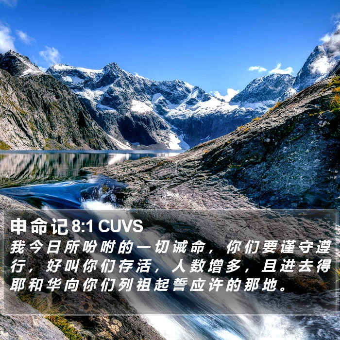 申 命 记 8:1 CUVS Bible Study