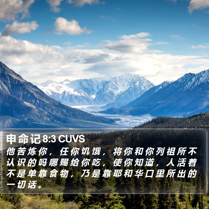申 命 记 8:3 CUVS Bible Study