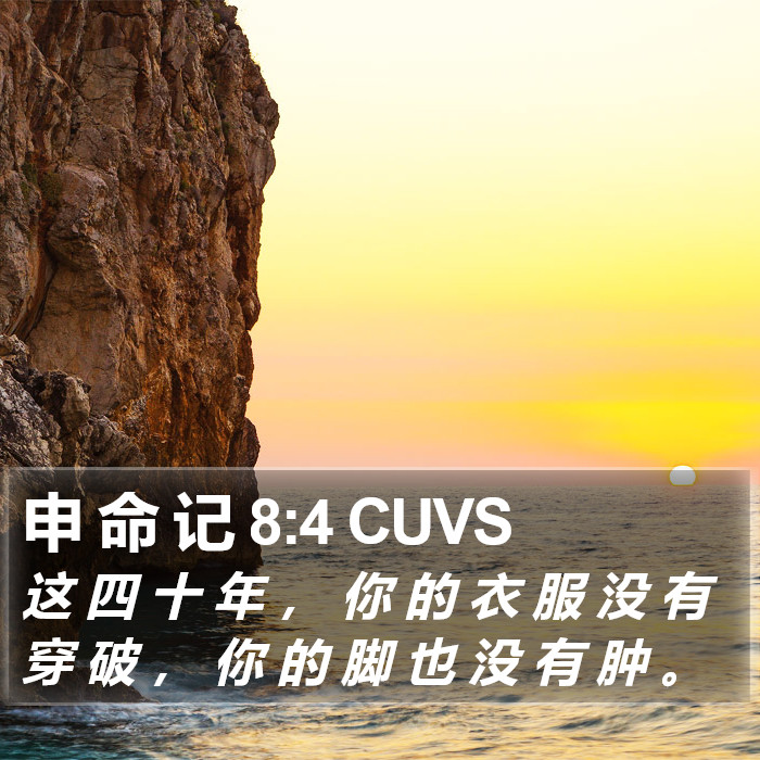 申 命 记 8:4 CUVS Bible Study