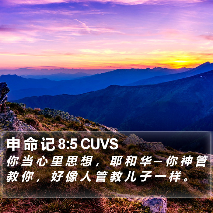 申 命 记 8:5 CUVS Bible Study
