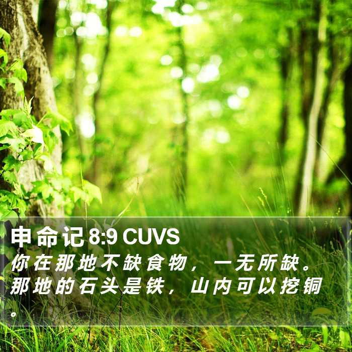 申 命 记 8:9 CUVS Bible Study