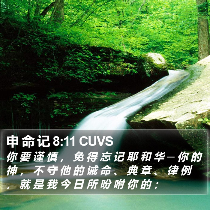 申 命 记 8:11 CUVS Bible Study