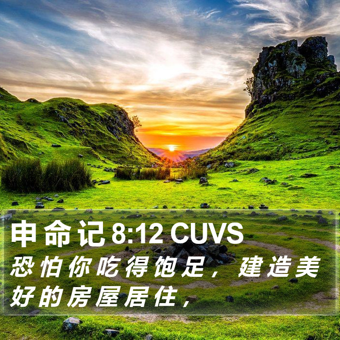 申 命 记 8:12 CUVS Bible Study