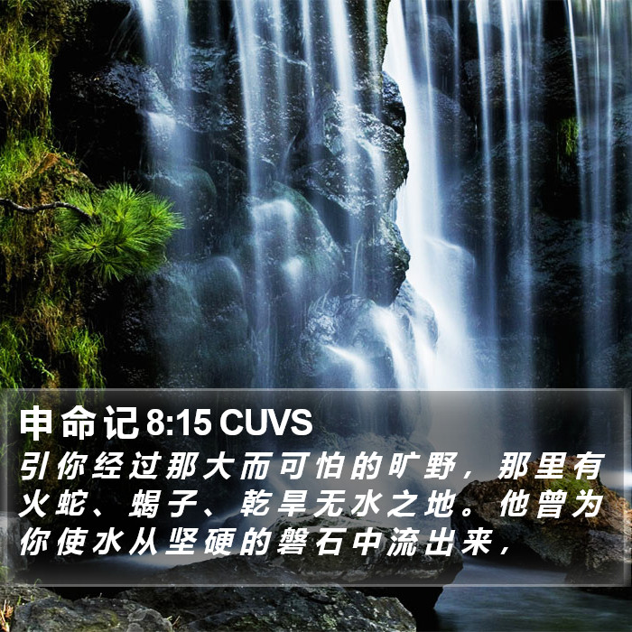 申 命 记 8:15 CUVS Bible Study