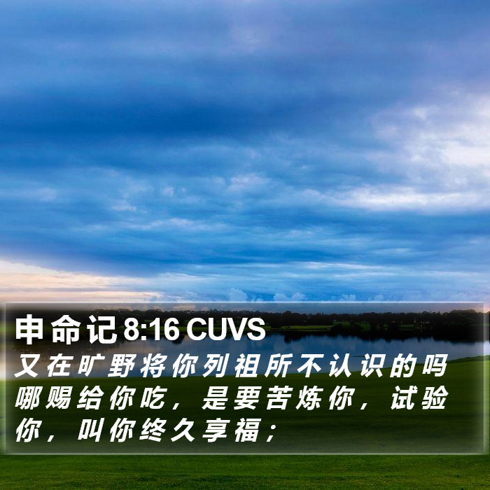 申 命 记 8:16 CUVS Bible Study