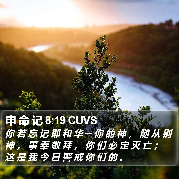 申 命 记 8:19 CUVS Bible Study