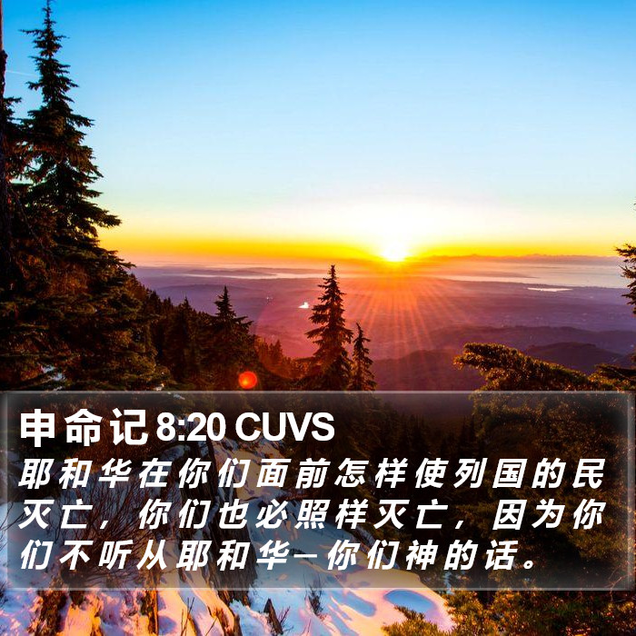 申 命 记 8:20 CUVS Bible Study